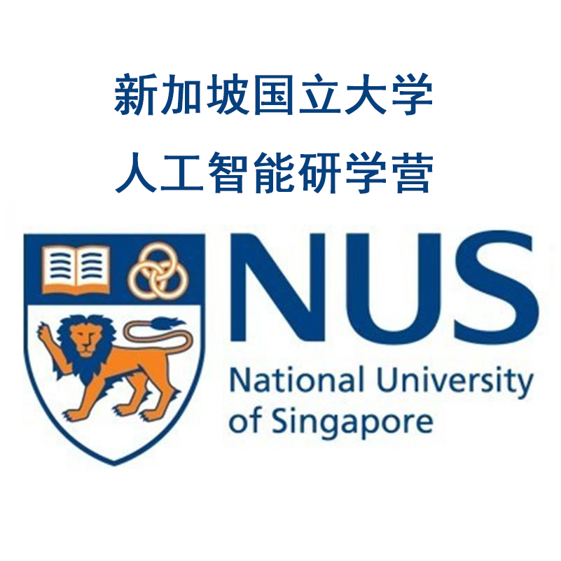 新加坡国立大学人工智能研学